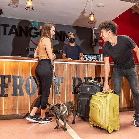 Beer Hotel Iguazu بويرتو إجوازو المظهر الخارجي الصورة