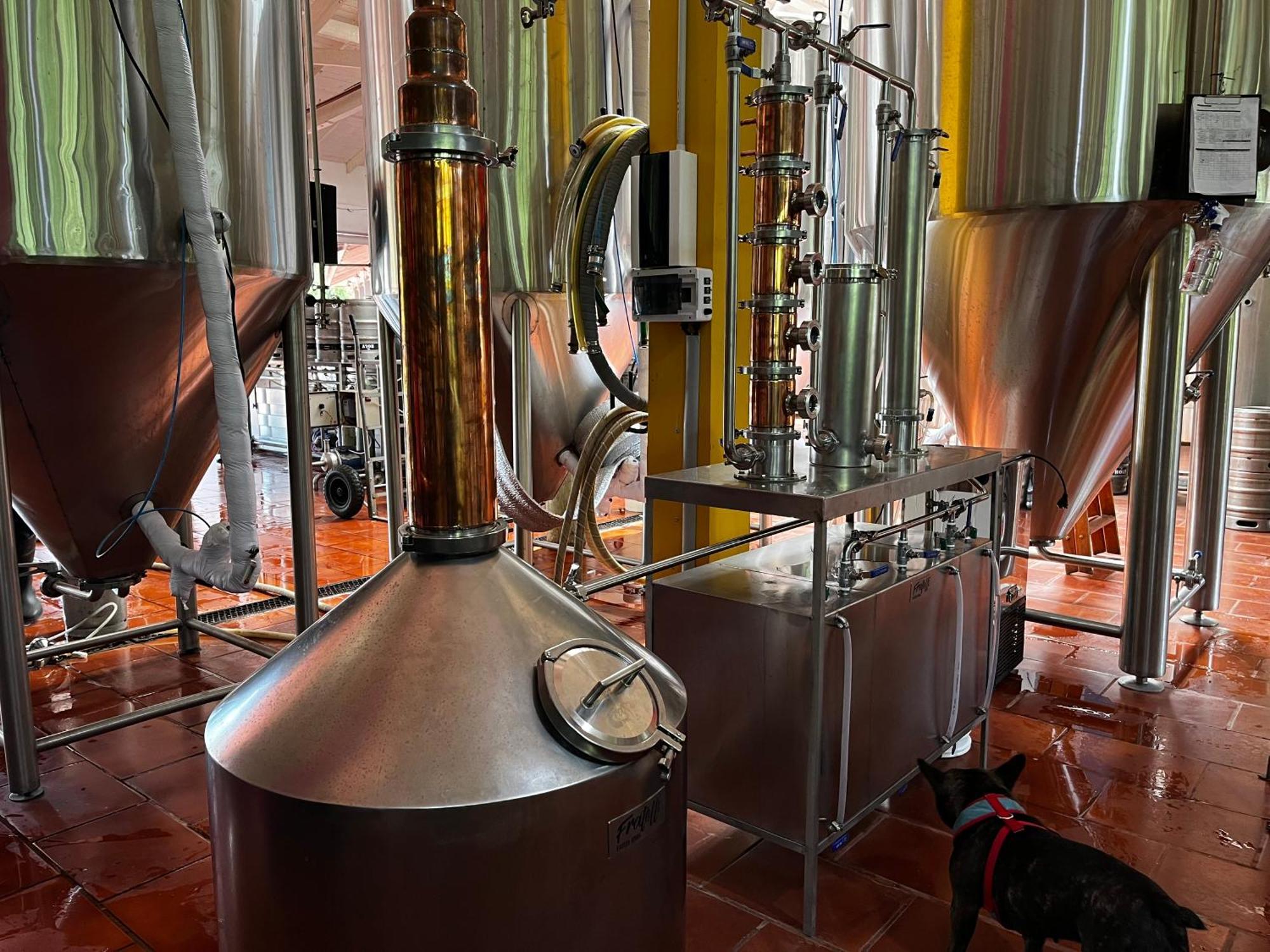 Beer Hotel Iguazu بويرتو إجوازو المظهر الخارجي الصورة