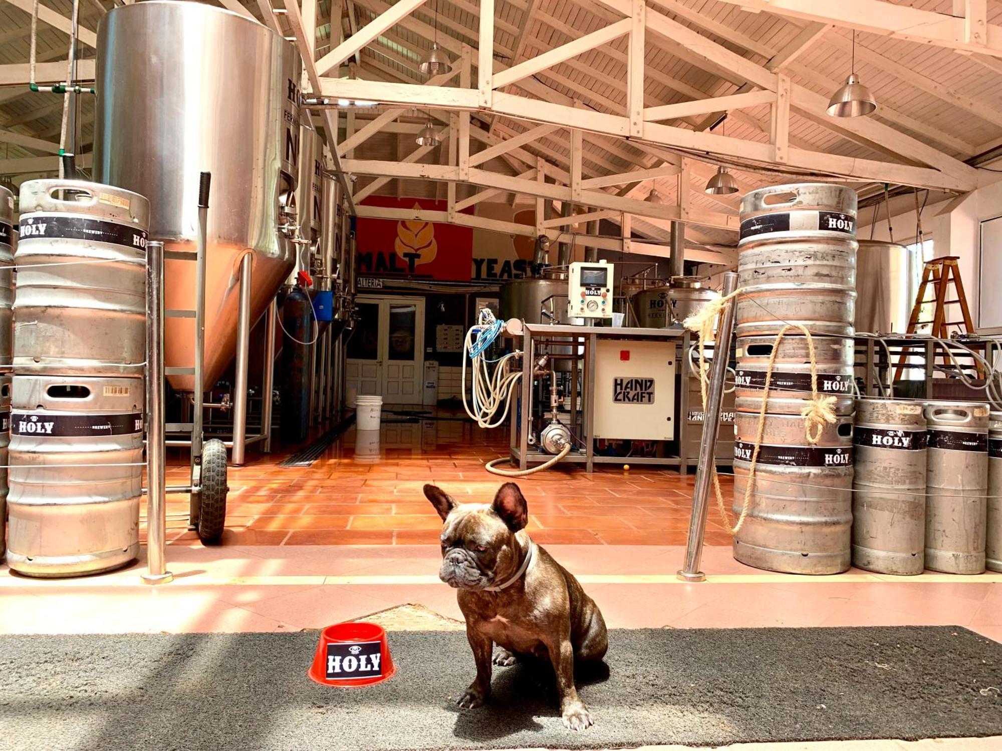 Beer Hotel Iguazu بويرتو إجوازو المظهر الخارجي الصورة